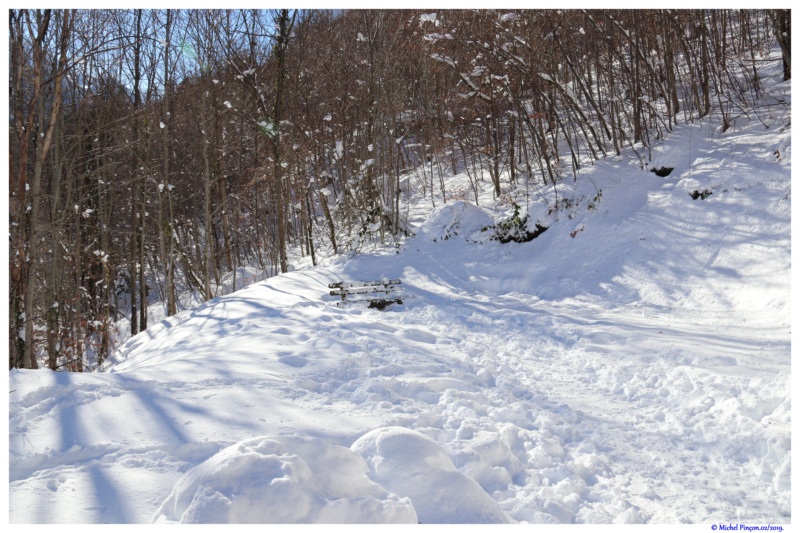 Une semaine à la Neige dans les Htes Pyrénées - Page 9 Dsc02593