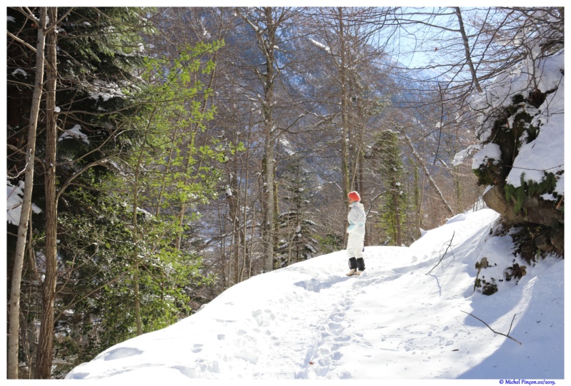 Une semaine à la Neige dans les Htes Pyrénées - Page 10 Dsc02682