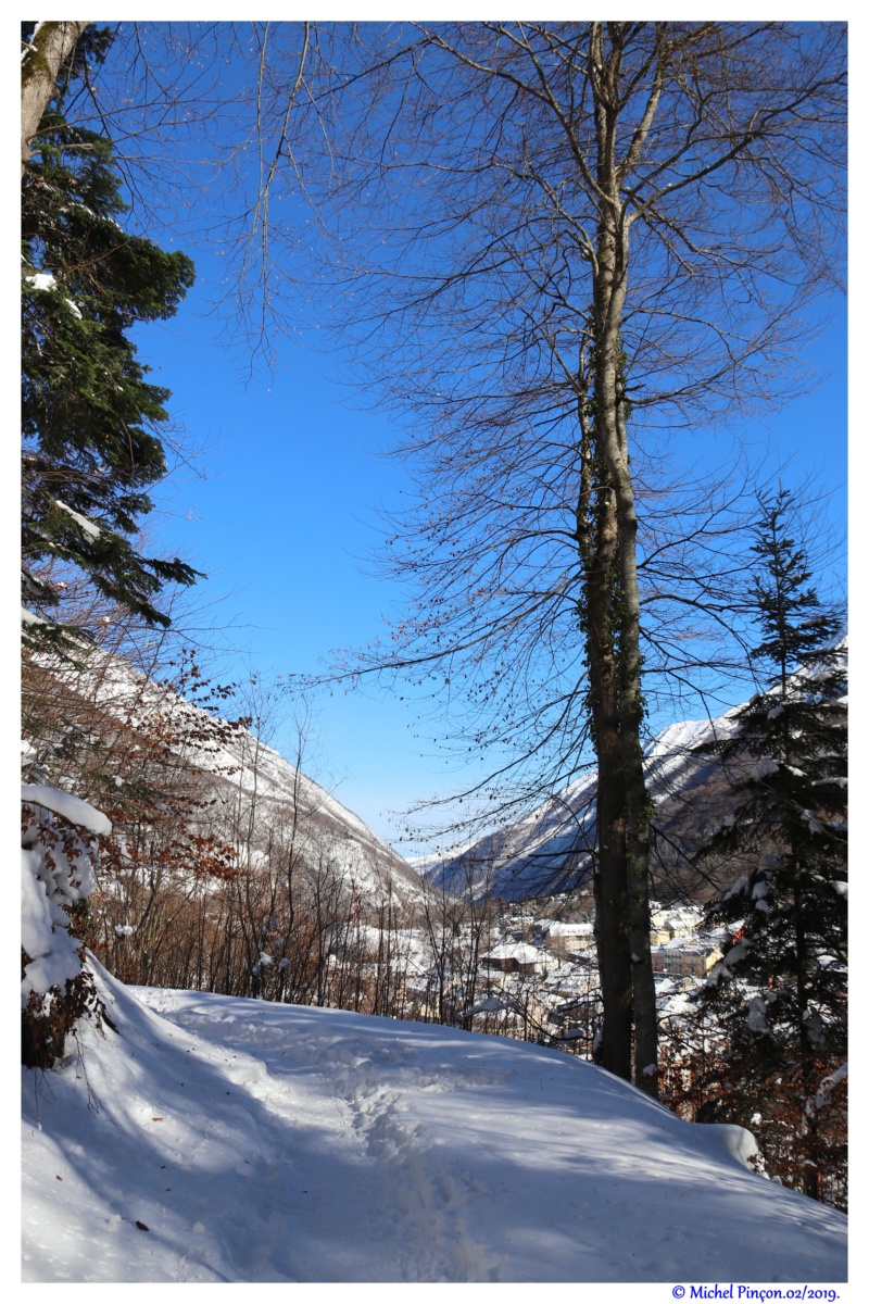 Une semaine à la Neige dans les Htes Pyrénées - Page 10 Dsc02686