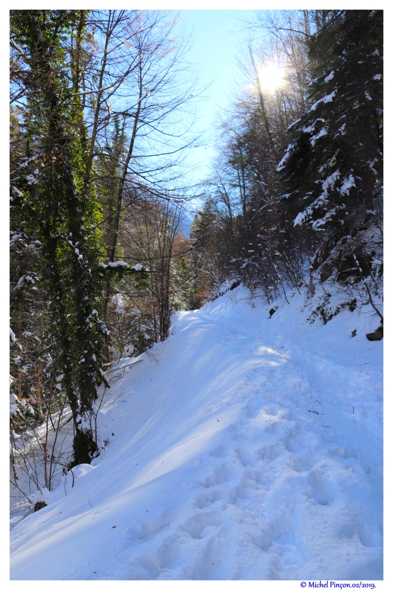 Une semaine à la Neige dans les Htes Pyrénées - Page 10 Dsc02687