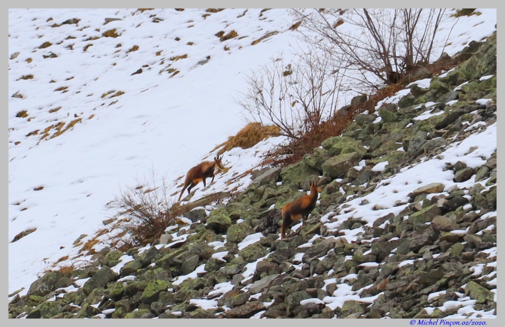 Une semaine à la Neige dans les Htes Pyrénées - Page 12 Dsc06492