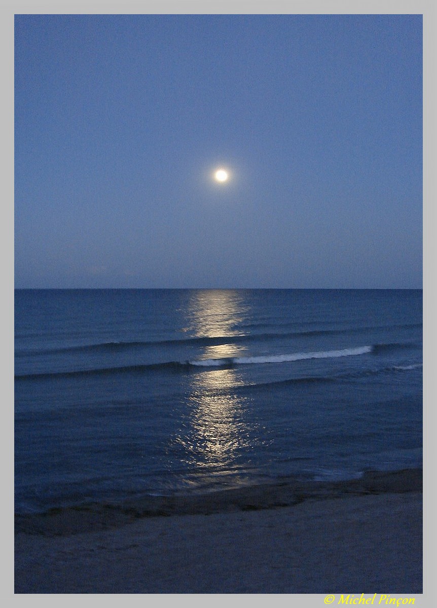 Thème du mois de juillet : Lumières dans la nuit Dsc08099