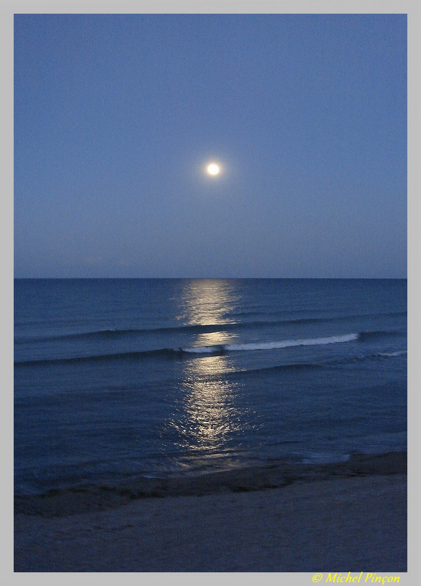 Thème du mois de juillet :  Lumières dans la nuit  Dsc08099