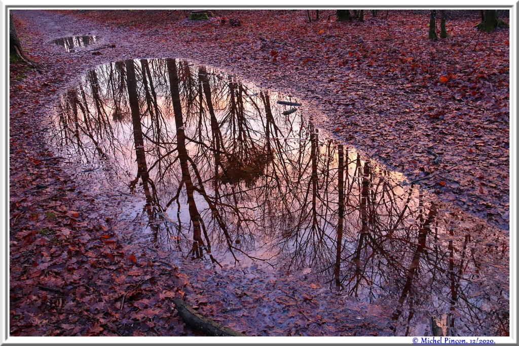  [ ouvert à tous ] Effet miroir - Page 6 Dsc09616