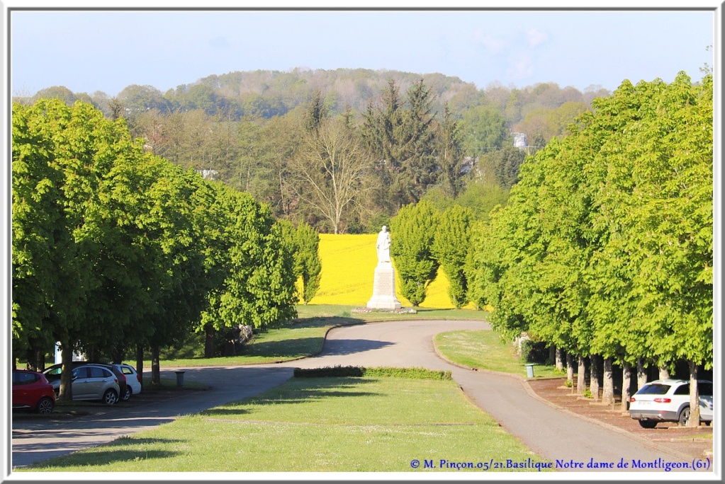 Balade en NORMANDIE, dans le département de l'ORNE (61) Dsc11096