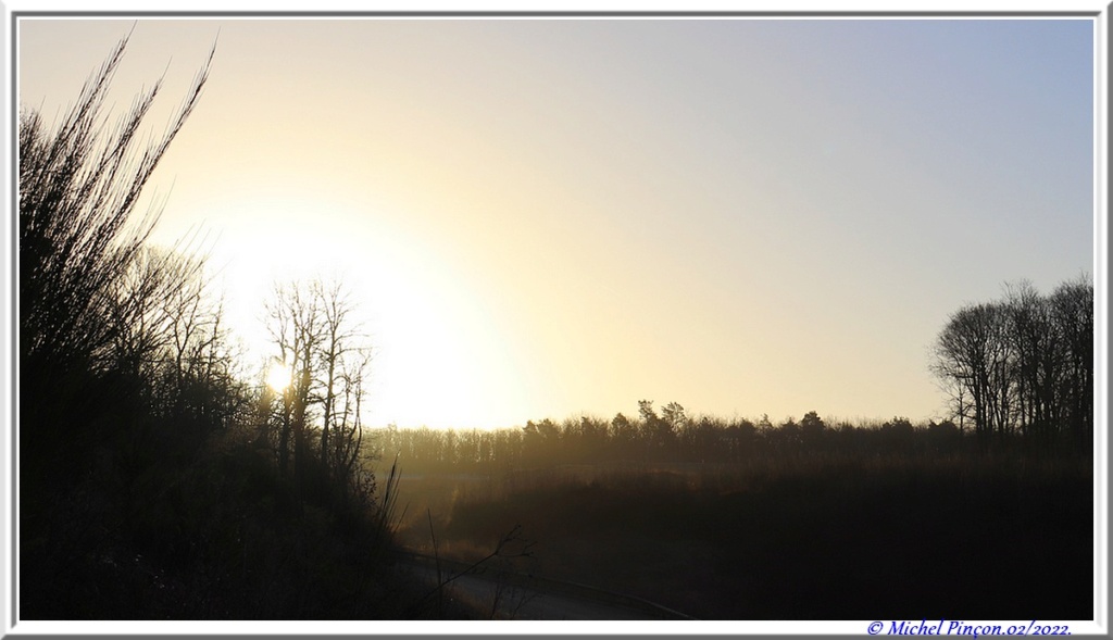 [fil ouvert] la forêt dans tous ses états - Page 31 Dsc13634