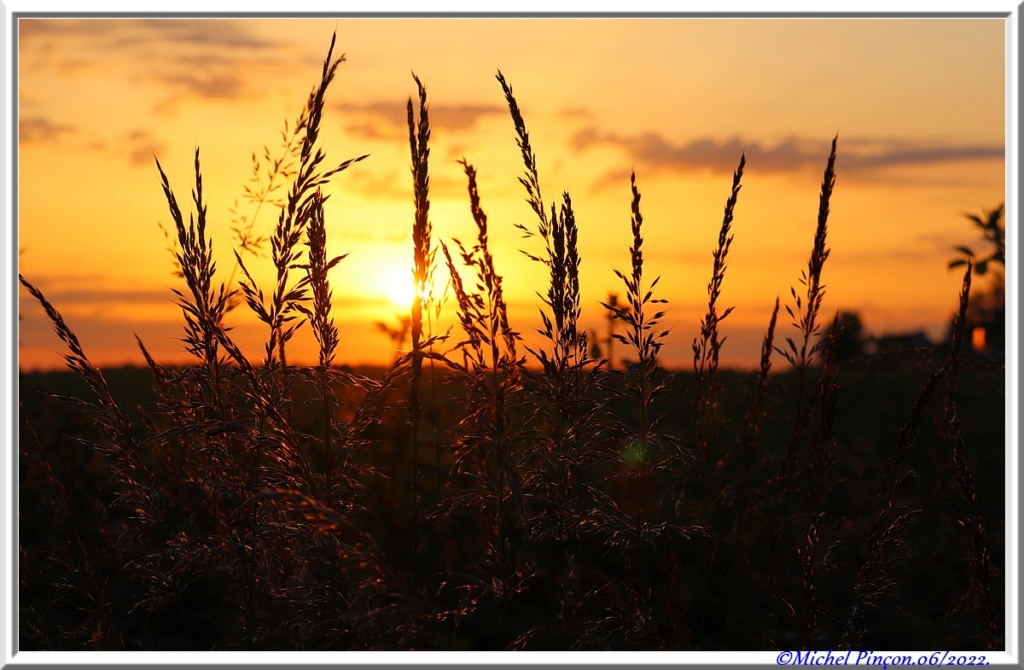 Levers de Soleil en Normandie, - Page 2 Dsc14671