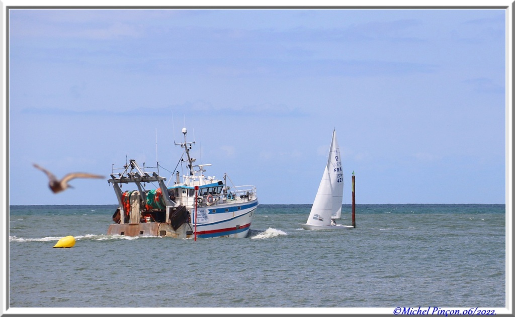 [VIE DES PORTS] Quelques bateaux de pêche (sur nos côtes Françaises) - Page 17 Dsc14867