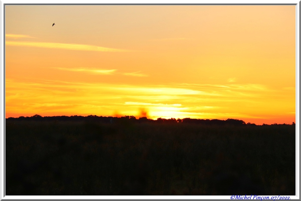 Levers de Soleil en Normandie, - Page 2 Dsc15396