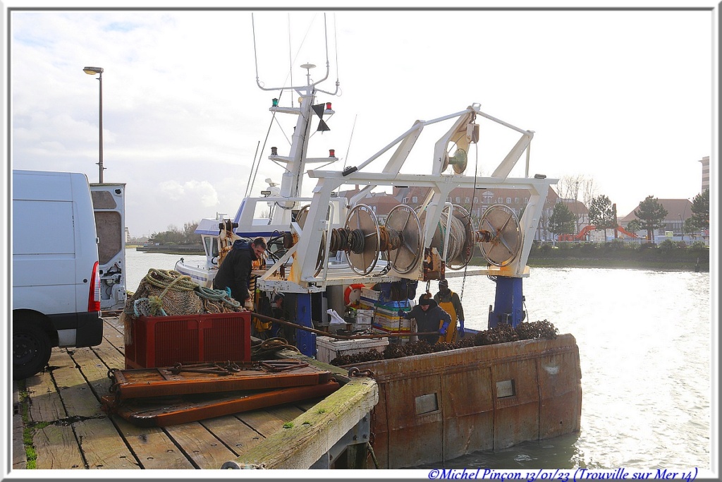 [Vie des ports] Quelques bateaux de pêche (sur nos côtes Françaises) - Page 20 Dsc16784