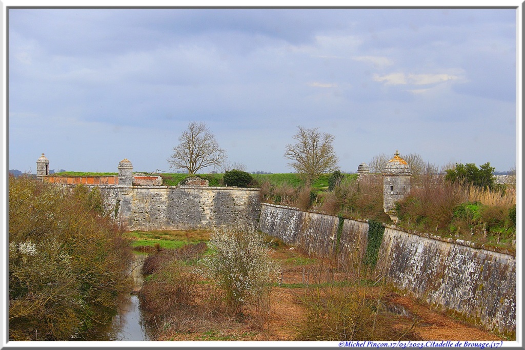Balades en Charentes Dsc17344