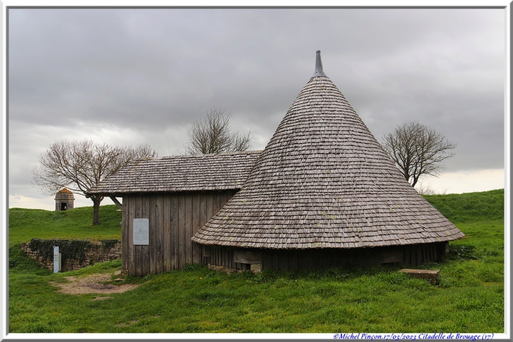 Balades en Charentes Dsc17392