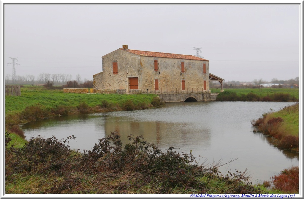 Balades en Charentes Dsc17399