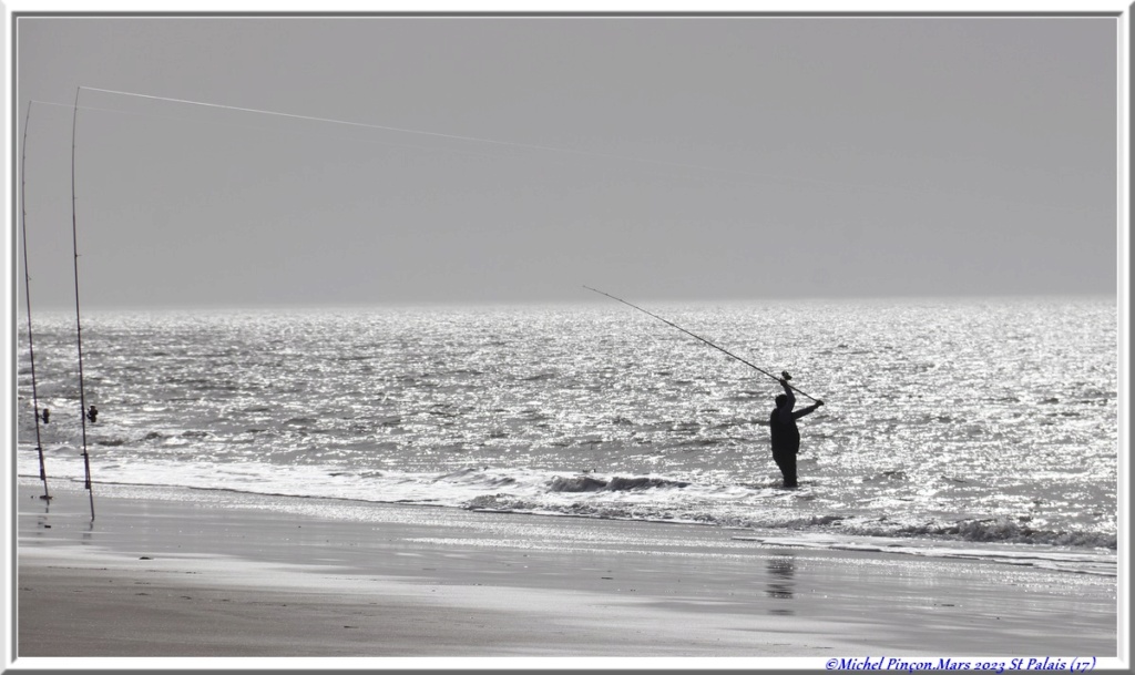 Balades en Charentes Dsc17734