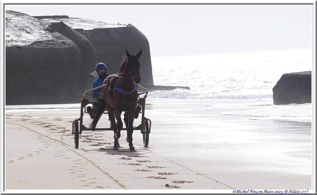 Balades en Charentes Dsc17752