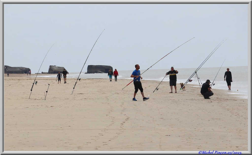 Balades en Charentes Dsc18127