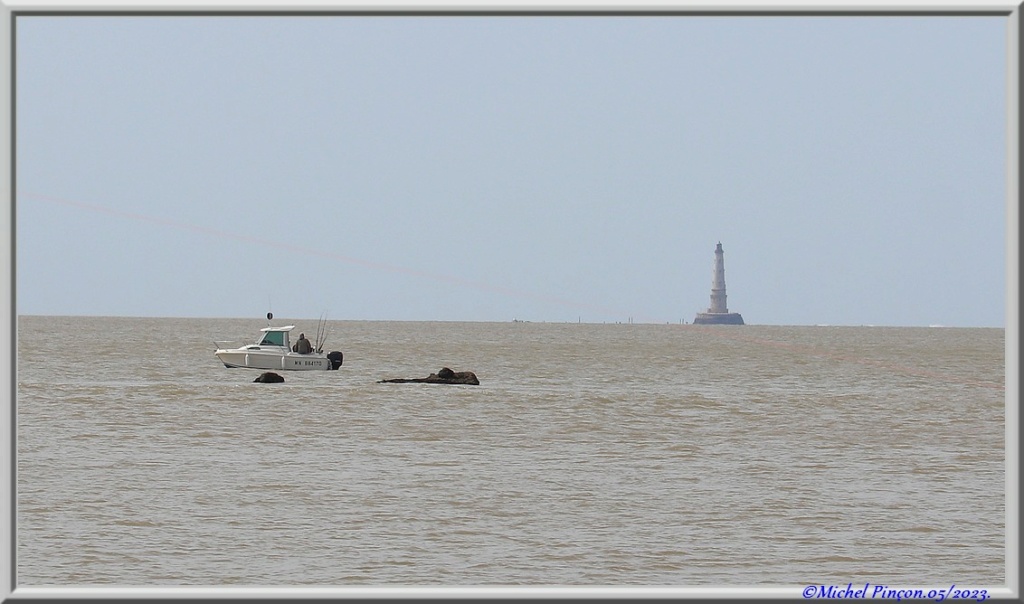 Balades en Charentes Dsc18129