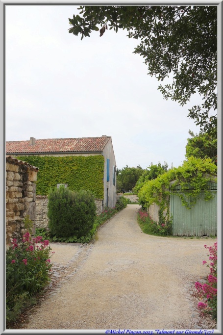 Balades en Charentes - Page 2 Dsc18163