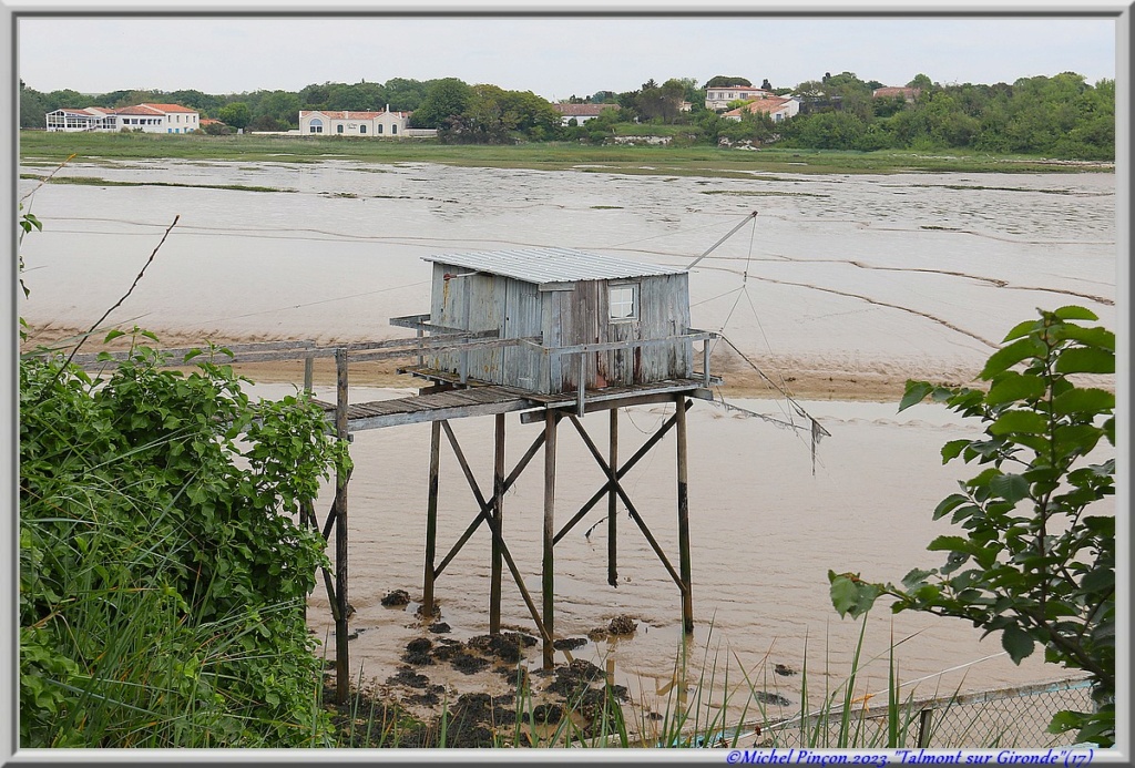 Balades en Charentes - Page 2 Dsc18165