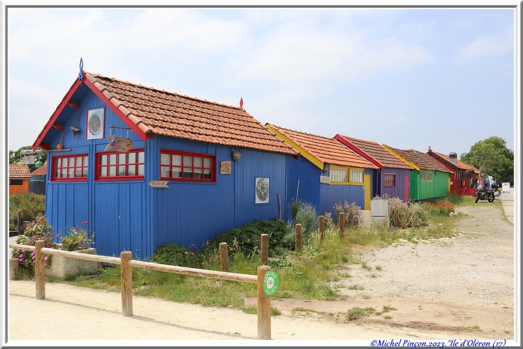 Balades en Charentes - Page 2 Dsc18350