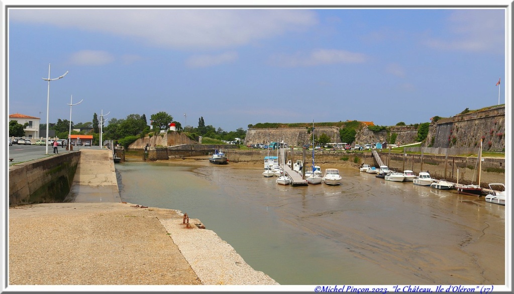 Balades en Charentes - Page 2 Dsc18404