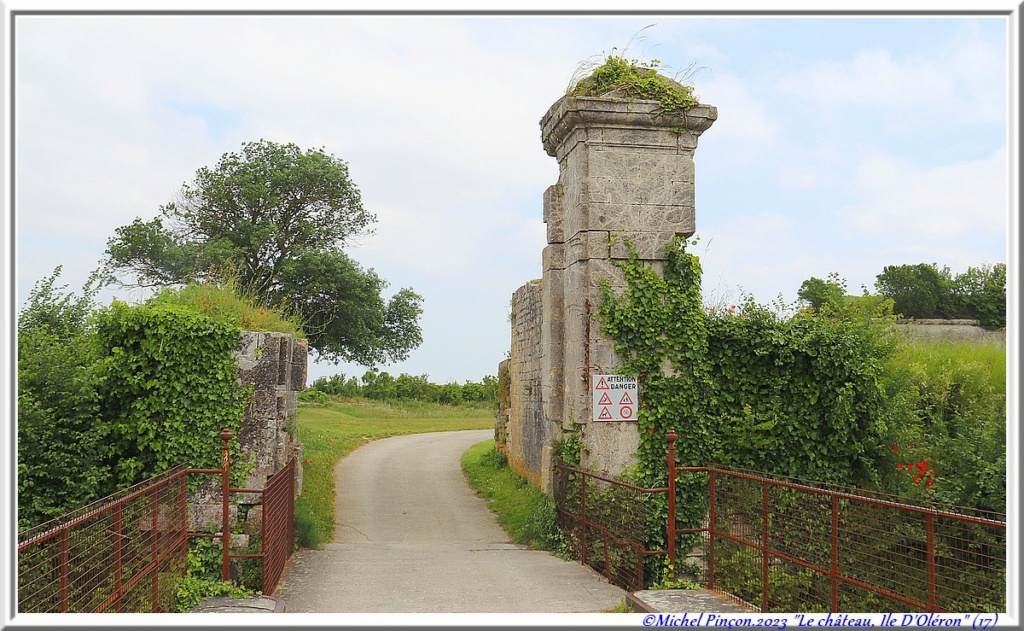 Balades en Charentes - Page 2 Dsc18428