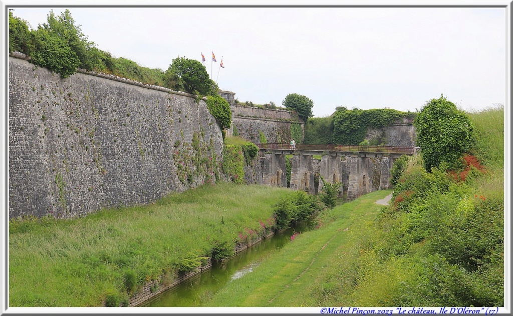 Balades en Charentes - Page 2 Dsc18430