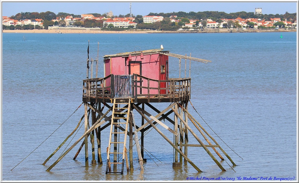 Balades en Charentes - Page 3 Dsc19220