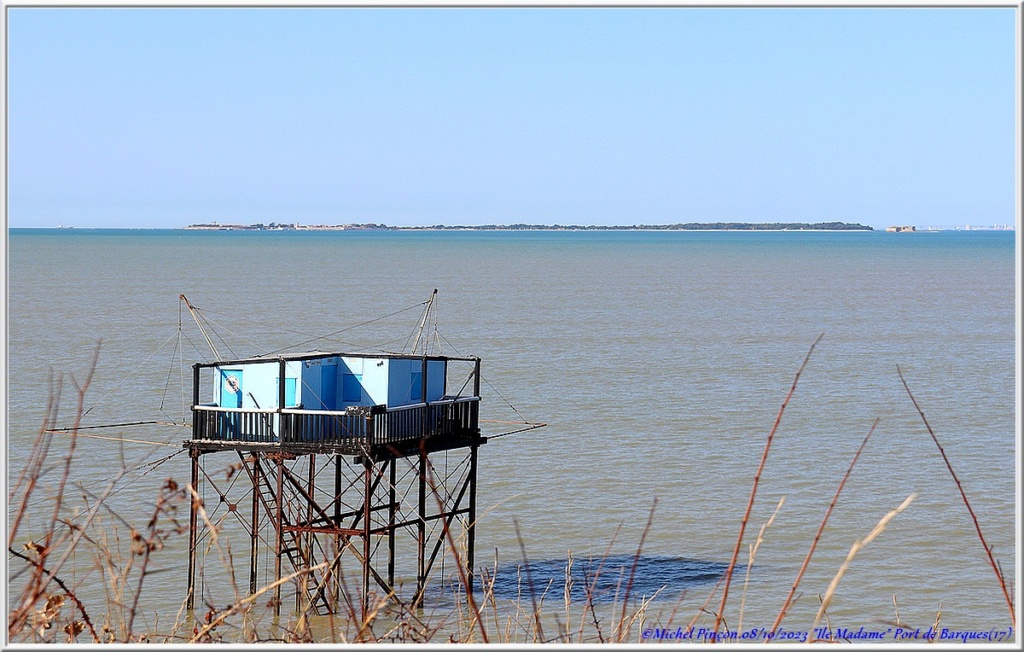 Balades en Charentes - Page 3 Dsc19232