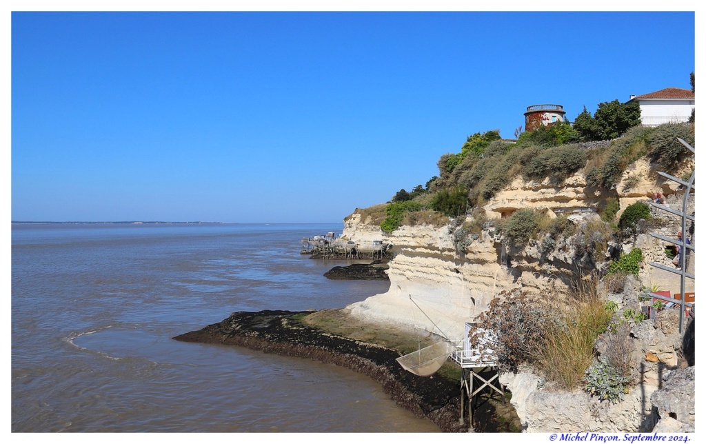 Balades en Charentes - Page 3 Dsc22971