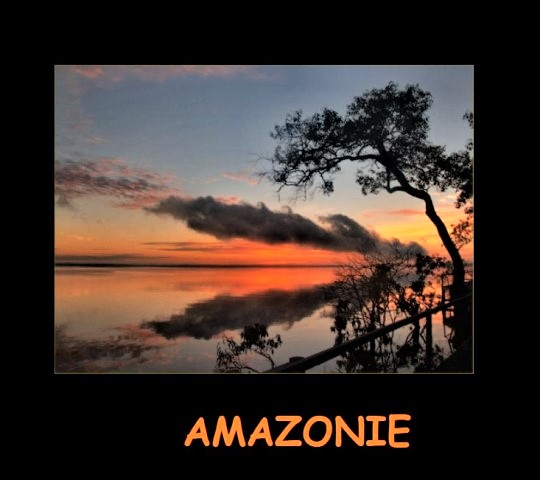 Amazonie * X_01456