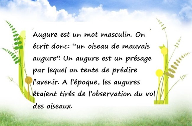 Anecdotes de la langue française qui vont vous étonner * X_03249