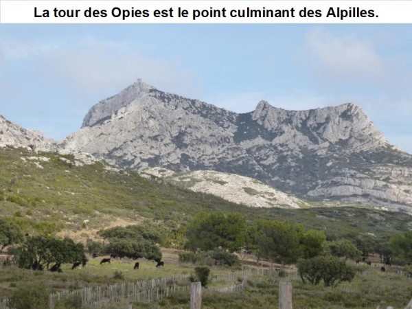 Les Alpilles * X_08347