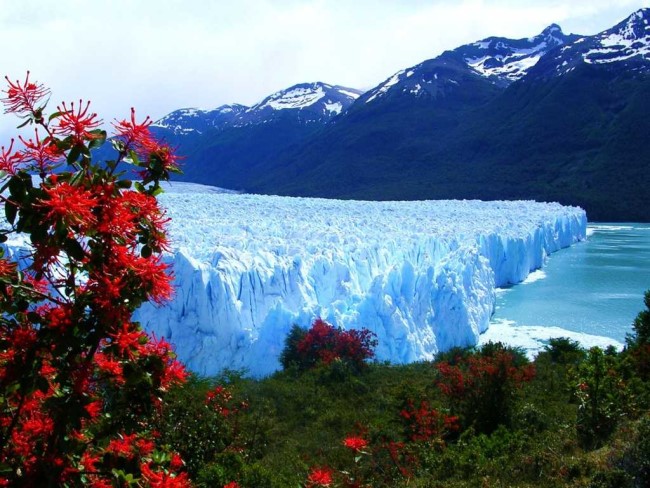 Glacier Perito Moreno * X_08367