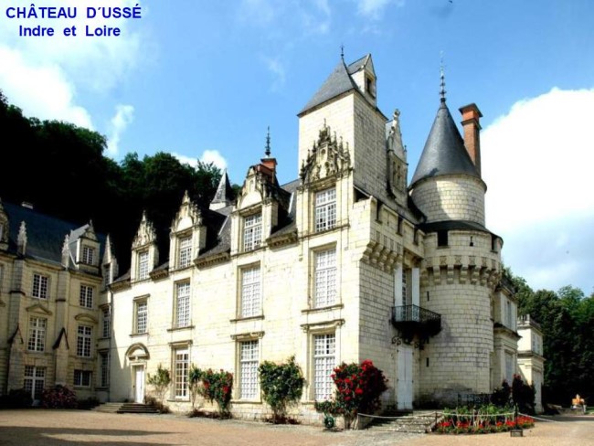 Les châteaux du bord de Loire * X_09336