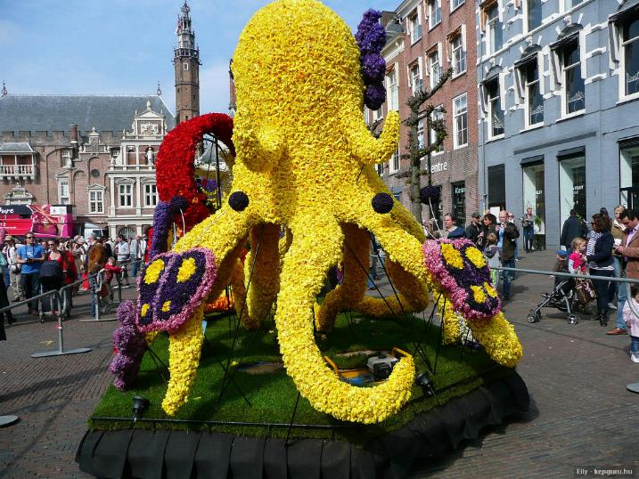 Corso fleuri à Haarlem- magnifique !!!! - X_1112