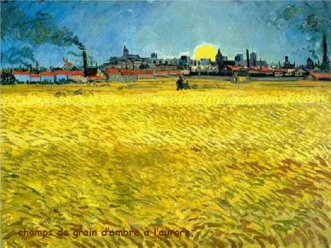Vincent Van Gogh * X_11395