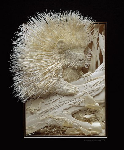 Nicholls Calvin - Sculptures de papier * X_11_115