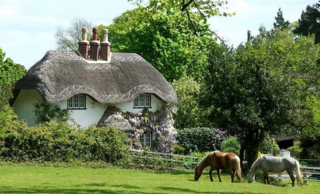 La route des chaumières en Angleterre * X_12240