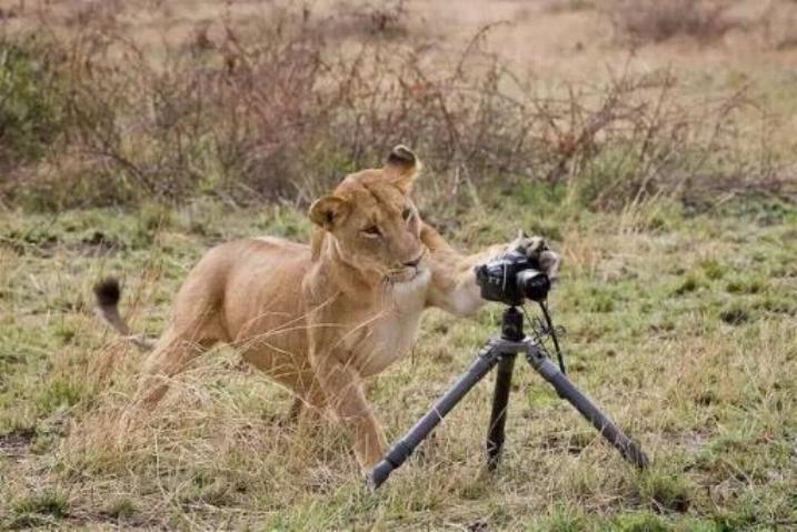 Bravo aux photographes * X_1948