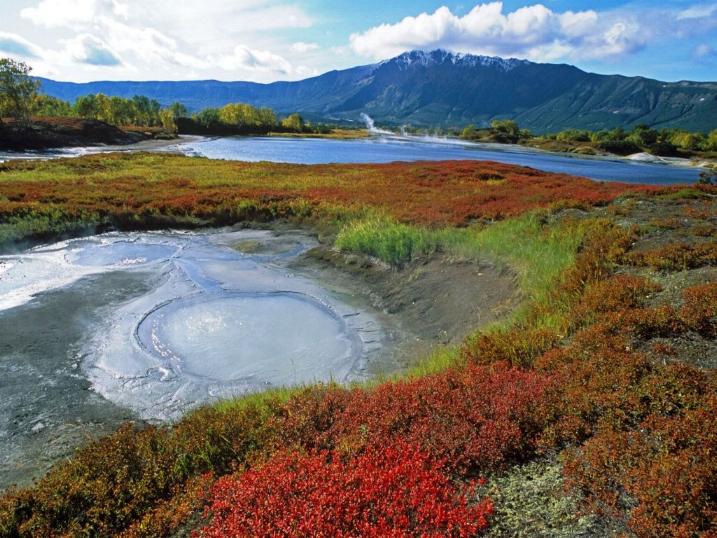 Kamchatka pays des ours et des volcans - X_2527