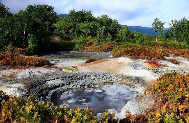 Kamchatka pays des ours et des volcans - - Page 2 X_2728