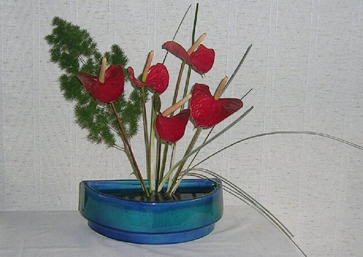 Ikebana -  - Page 2 X_2820