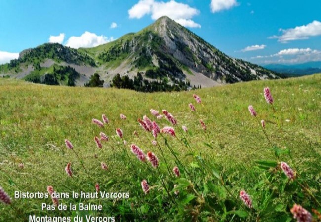 La France est belle * - Page 2 X_33146