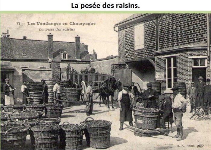 La ruralité en 1900 * - Page 2 X_3585