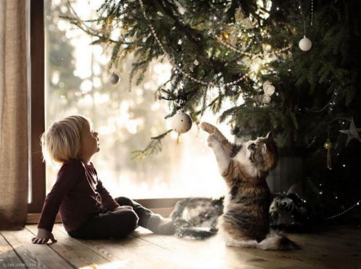 Elena Shumilova * - Page 4 X_7815