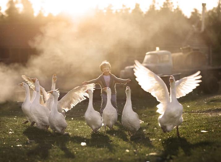 Elena Shumilova * - Page 4 X_8816