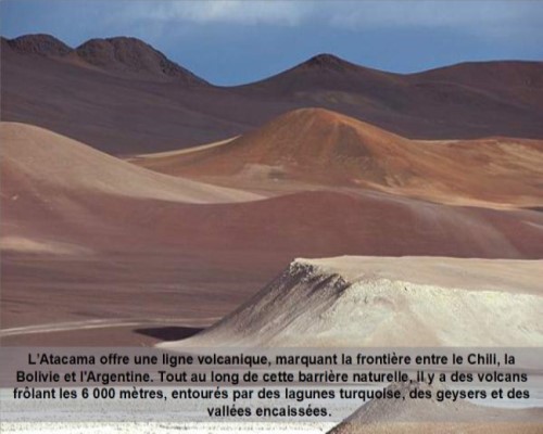 Atacama - Le désert des fleurs * Xx_0268