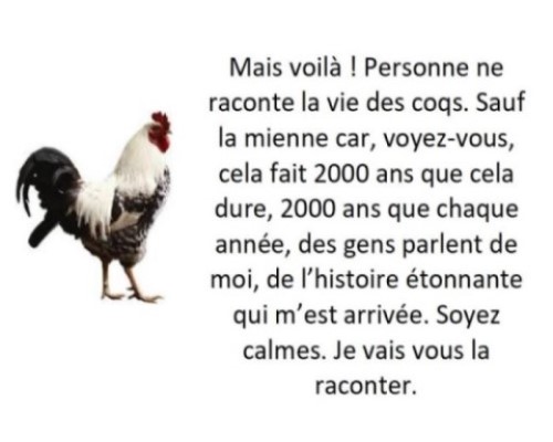 Le Coq de Jérusalem * Xx_0335