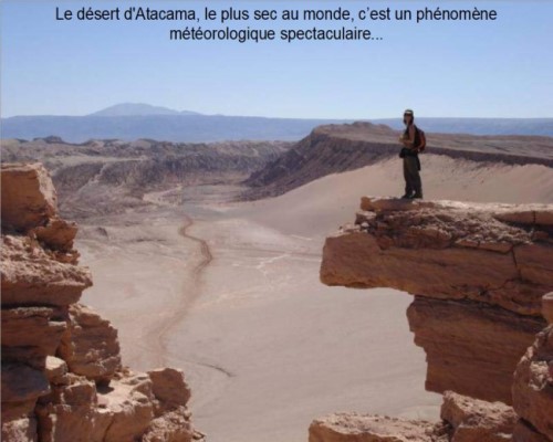 Atacama - Le désert des fleurs * Xx_0468